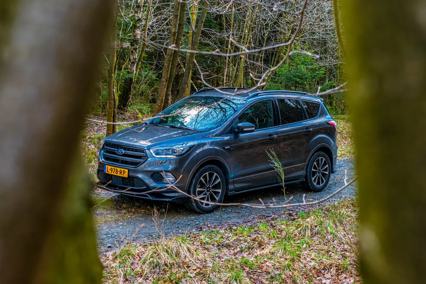 Ford Kuga op een bospad, ingekaderd tussen twee onscherpe boomstammen