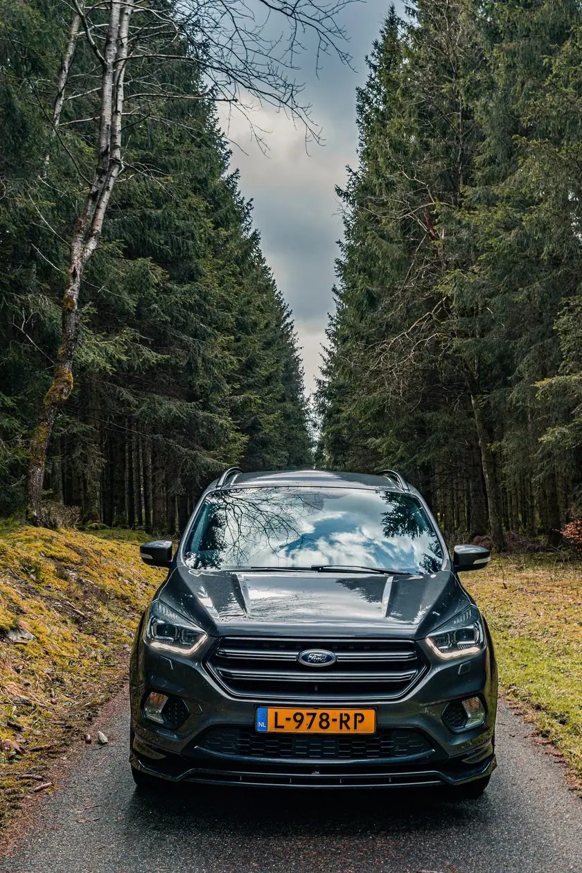 Ford Kuga recht van voren op een smalle weg door een hoog dennenbos onder een dramatische wolkenlucht