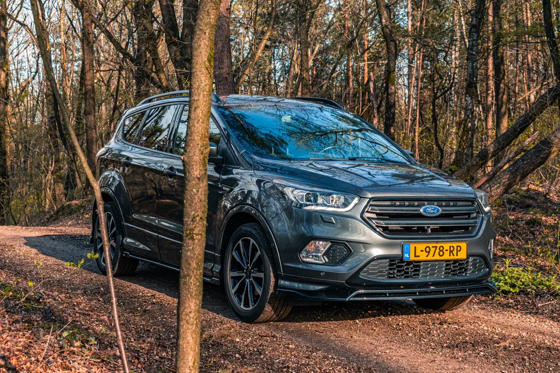 Ford Kuga schuin van voren op een bospad in laag goudkleurig zonlicht, met een dunne boomstam op de voorgrond